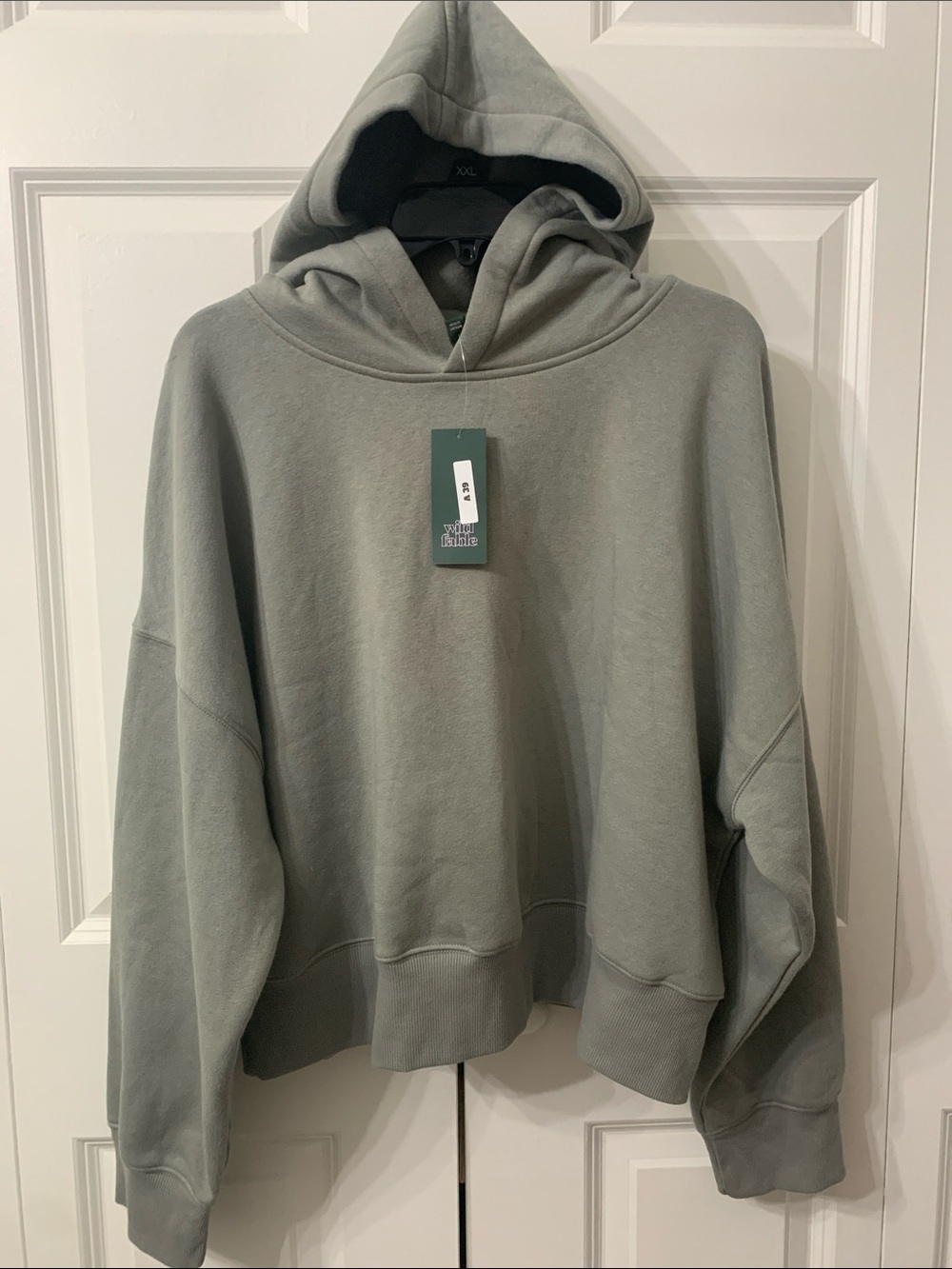 wild fable Oversized Pullover Hoodie in Sage green